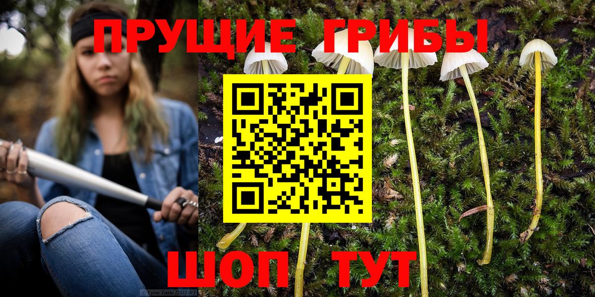 наркошоп  Вход с VPN  Дедовск  Псилоцибиновые грибы прущие грибы 